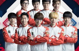 藏党的两套 藏党的两套